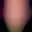 BlurHash placeholder for Paper hot-air balloon with transparency