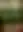 ThumbHash placeholder for Tall bird-of-paradise plant in a greenhouse